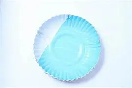 6 No Lamination Paper Plate